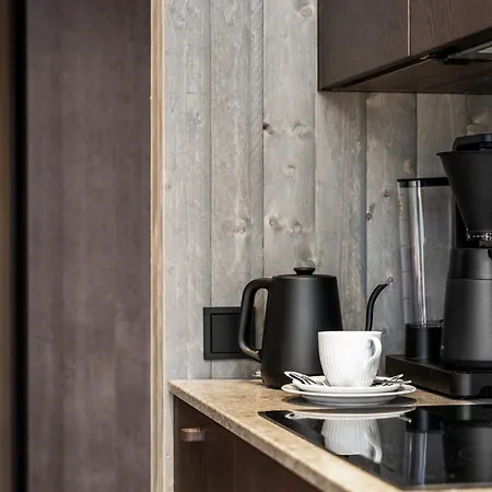 North Aurora 20c By Hilla 公寓 列维