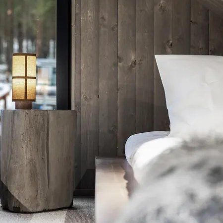 North Aurora 20c By Hilla 列维