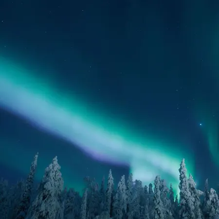 North Aurora 20c By Hilla * 列维